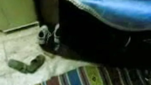 बिग boobed एमआईएलए गड़बड़ सेक्सी पिक्चर मूवी हिंदी में हो जाता है