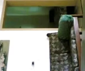 प्यूमा स्वेड ने अपनी गीली चूत पर मूवी पिक्चर सेक्सी हाथ फेरा