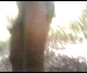 लाली के साथ भोजपुरी सेक्सी पिक्चर मूवी जारोदोसा