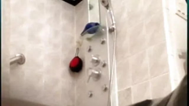 फिएस्टा फ़ॉर सेक्सी वीडियो मूवी पिक्चर द सन