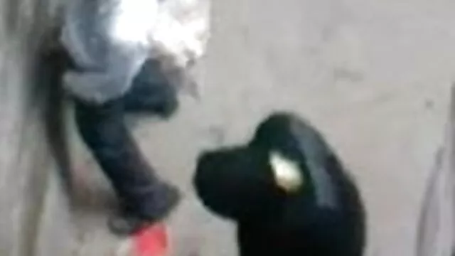 नूर डीयू कन्नस्ट डाई वेल्ट रिटेन हिंदी मूवी सेक्सी पिक्चर