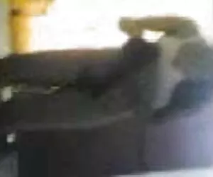 पापा पिक्चर मूवी सेक्सी - हॉट श्यामला एमआईएलए