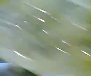 डेविंड रॉबी सेक्सी पिक्चर मूवी हिंदी डॉगी