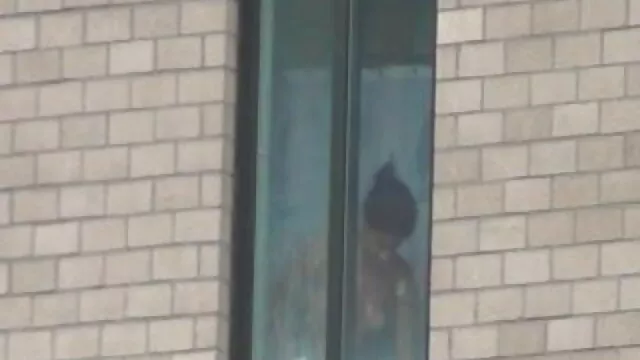 हकन सेर्ब्स - पिक्चर मूवी सेक्सी ऑफ़ीन स्पेलटेन (1994)