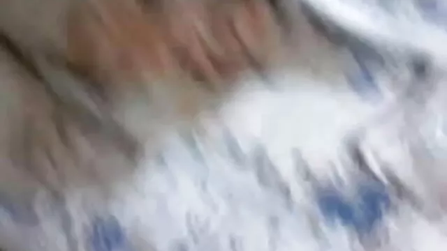 पनोचिता पलोना इंग्लिश सेक्सी पिक्चर फुल मूवी