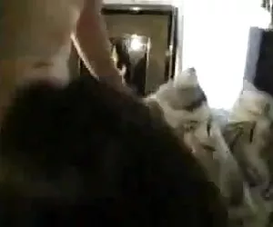 प्यारा किशोर सेक्सी मूवी पिक्चर वीडियो हस्तमैथुन