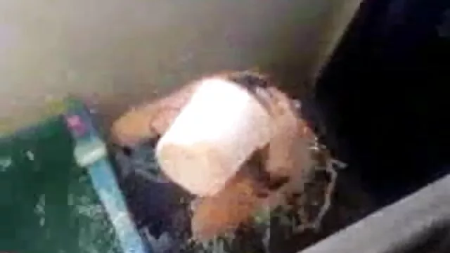 dans बेटा सेक्सी मूवी पिक्चर सेक्सी मूवी अपराधी