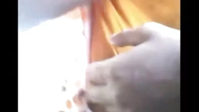 एलाव 2 से मूवी सेक्सी पिक्चर मैरी