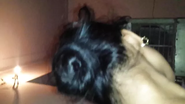 लास गैलेरियास डे नेमो.फ़िएस्टा 1 मूवी सेक्सी पिक्चर वीडियो में