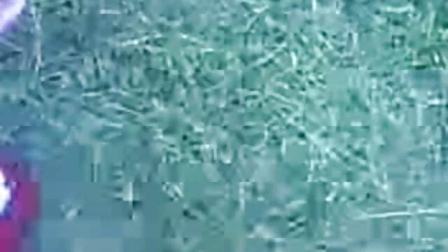 एक प्रकार का सेक्सी पिक्चर फुल मूवी ओपन पौधा