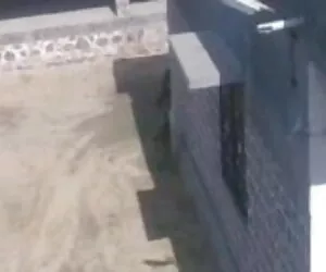 क्रीमपाइ क्विक सेक्सी मूवी ब्लू पिक्चर