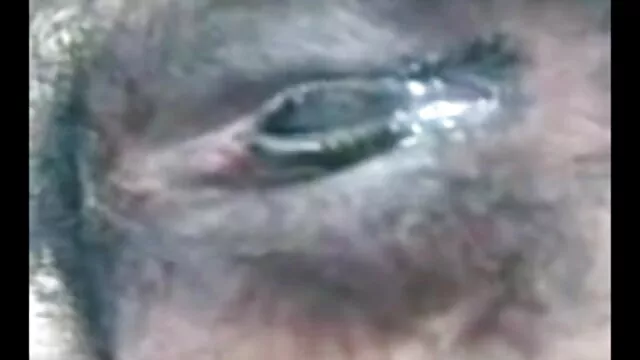 गंदा अंतरजातीय सह मूवी सेक्सी पिक्चर गमागमन sluts