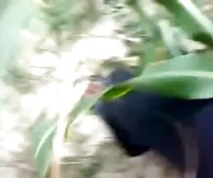 लंबा सेक्सी सभी प्राकृतिक वसा बीपी सेक्सी मूवी पिक्चर मुर्गा के लिए तैयार है