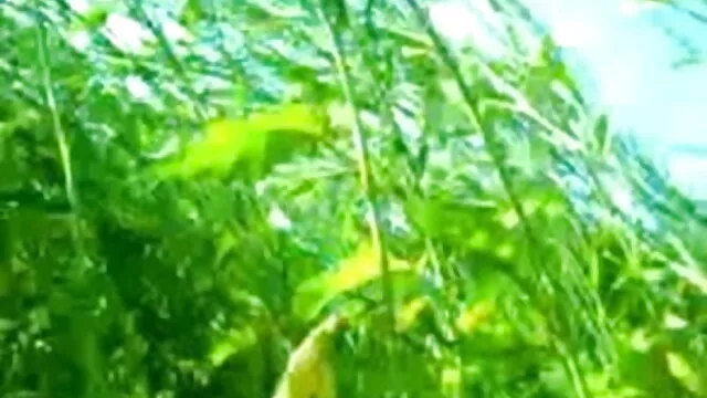 व्हाइट स्लट ने बीबीसी को ग्लोरीहोल ब्लू मूवी सेक्सी पिक्चर में उड़ा दिया