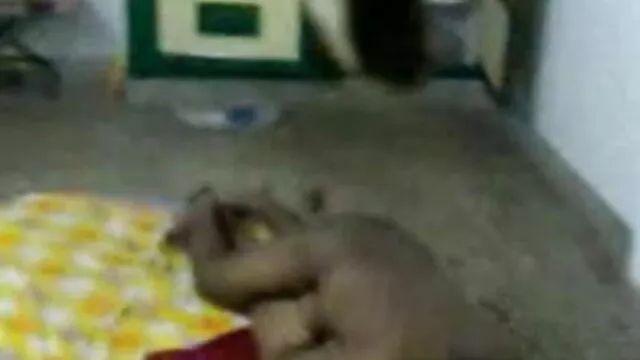 इहारे गिलेन प्रैलन सेक्स मूवी हिंदी इंग्लिश अरस्च फिकेन में काटजा लास्ट सिच