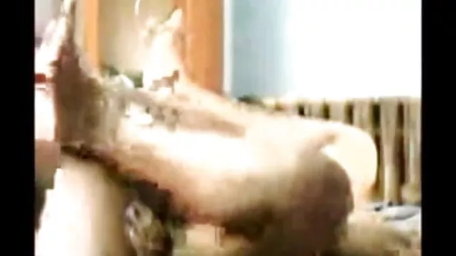 जापानी एमआईएलए सेक्सी ब्लू पिक्चर हिंदी मूवी पेंटीहोज बकवास