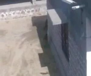 दो लड़कों के सेक्सी मूवी वीडियो पिक्चर साथ दो sluts किशोर