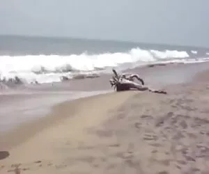 किंकी BBW कमबख्त सेक्सी मूवी ब्लू पिक्चर