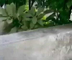 Tetona ब्लू पिक्चर सेक्सी मूवी